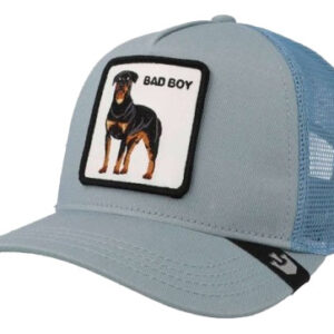 Gorro Visera Goorin Bros Bad Boy Truckin Celeste Único Lisa